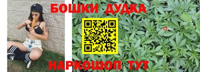 PSILOCYBIN Нальчик