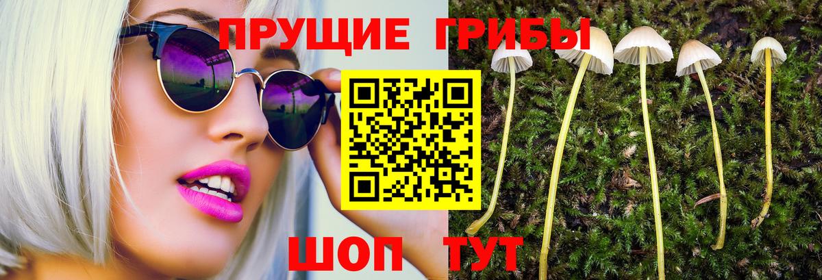 Галлюциногенные грибы Psilocybine cubensis Ульяновск